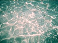 photos 2000-200901194